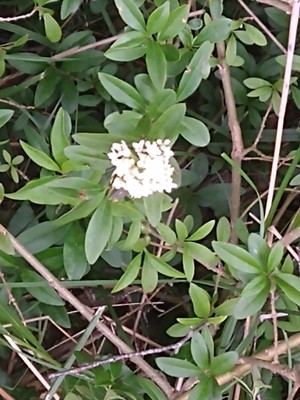photo of 